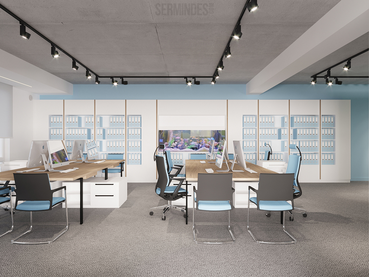 Sermindes - DAILYCONT Eminescu Offices